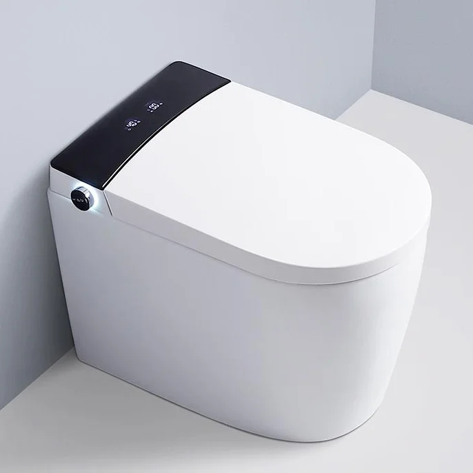 

Europe CE Electric Automatic Toilet Bidet Valve Flow Auto Flush Intelligent Smart Toilets