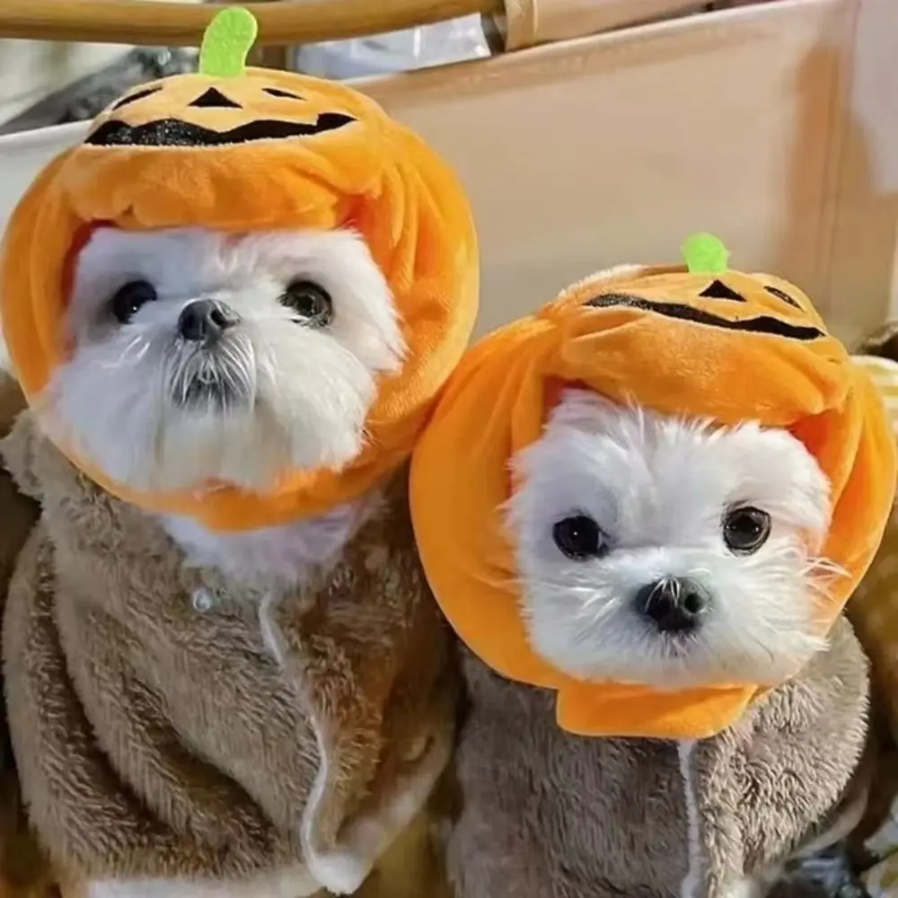 

Funny Dress Up Pet Halloween Hat Headdress Cosplay Costume Pumpkin Dogs Hat Soft Transforming Plush Cat Headgear Costume