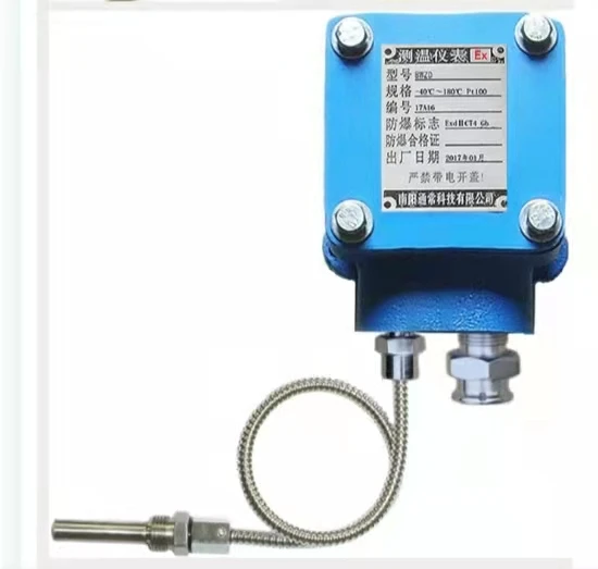 Sensor de temperatura BWZD Series Ex PT100