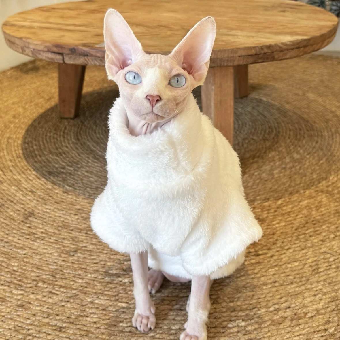 Sphynx Cat Turtleneck Lamb Wool Sweater Hairless Cat Clothes Thick Warm 4-legged Coat Fleece Jumpsuit for Devon Rex