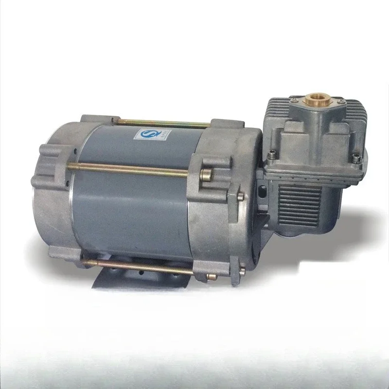 Oil and gas recovery vacuum pump, single pump head explosion-proof 220V refueling machine accessories equipment