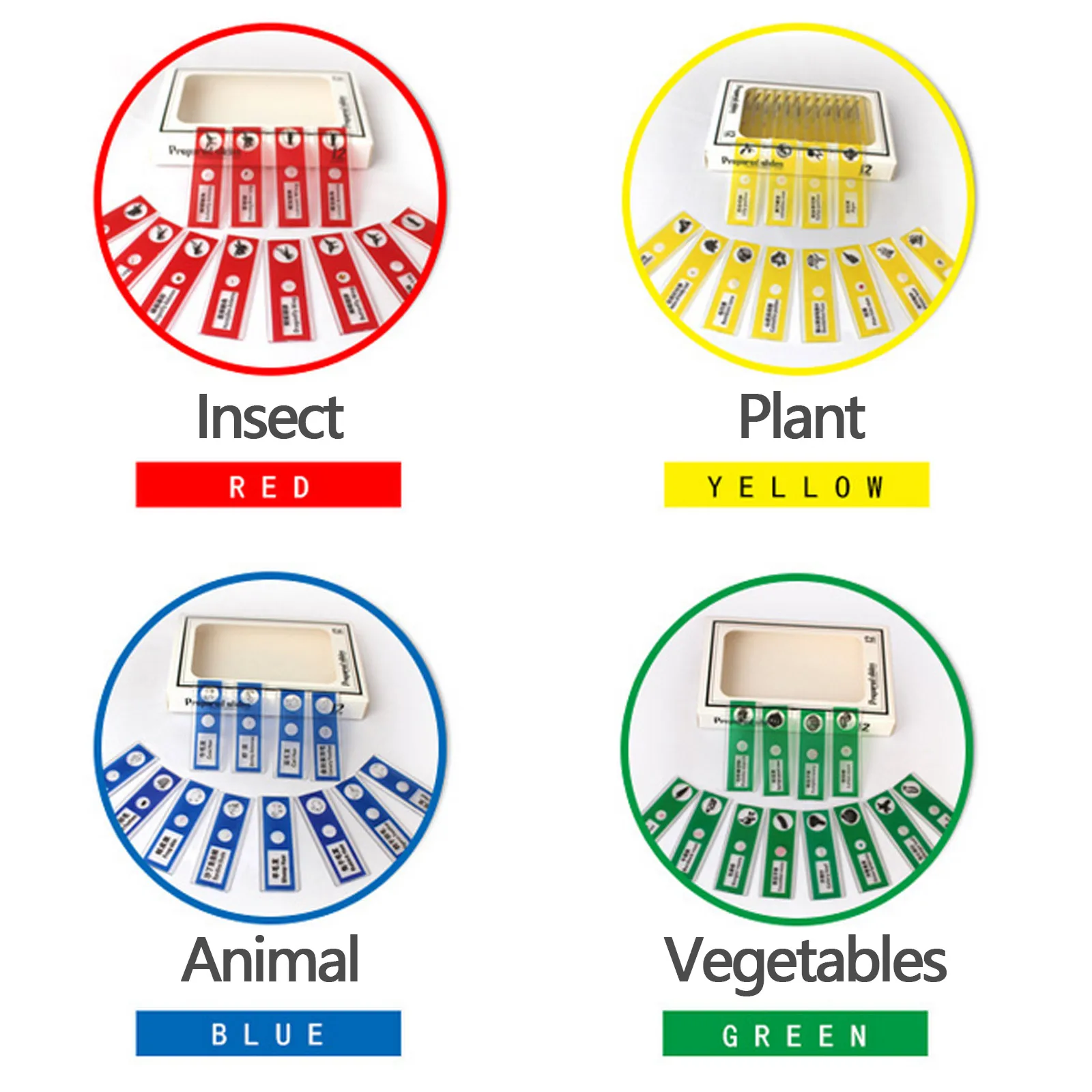 Microscopio preparado de plástico para niños, portaobjetos de 48 piezas, muestras de especímenes orgánicos de plantas, insectos, animales, suministros educativos de Ciencia