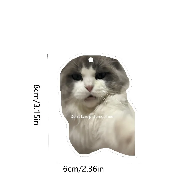 Car Air Freshener Funny Fluffy Cat Meme Hanging Scent Card for Car Interior Decor Rearview Mirror Ornament Gift