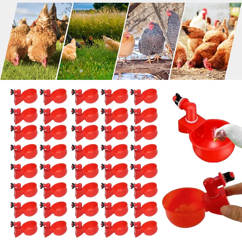 

Chicken Drinking Cup Automatic Drinker Chicken Feeder Plastic Poultry Waterer Drinking Water Feeder for Chicks Duck Goose Quail