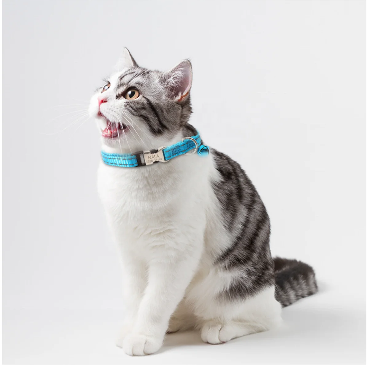 Cat collar with bell, engravable content, night reflective nylon cat leash anti lost pet cat collar