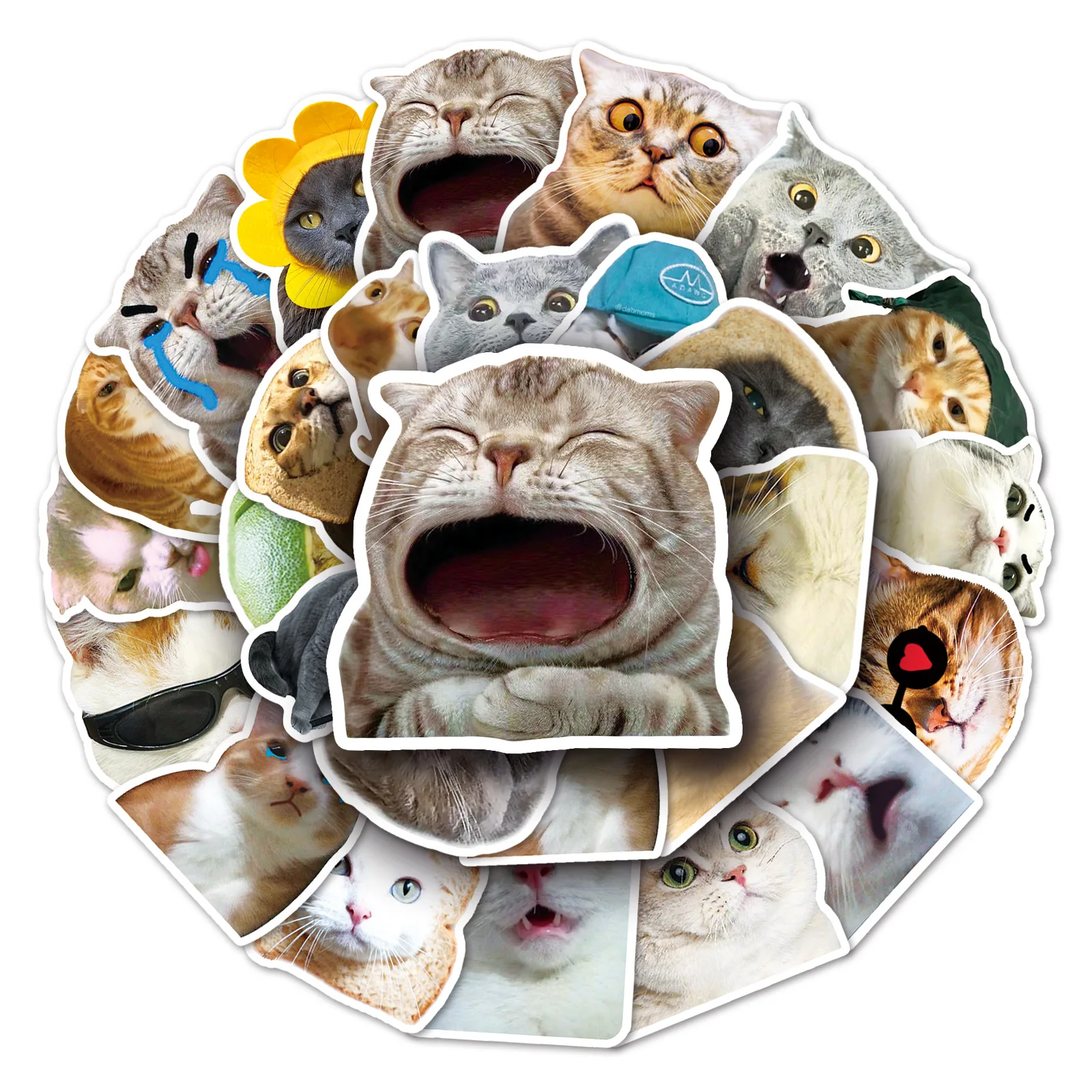 

50PCS Funny Cute Cat Stickers Meme Kawaii Decals For Phone Notebook Laptop Phone Fridge Bike Graffiti DIY Waterproof Toys Gifts