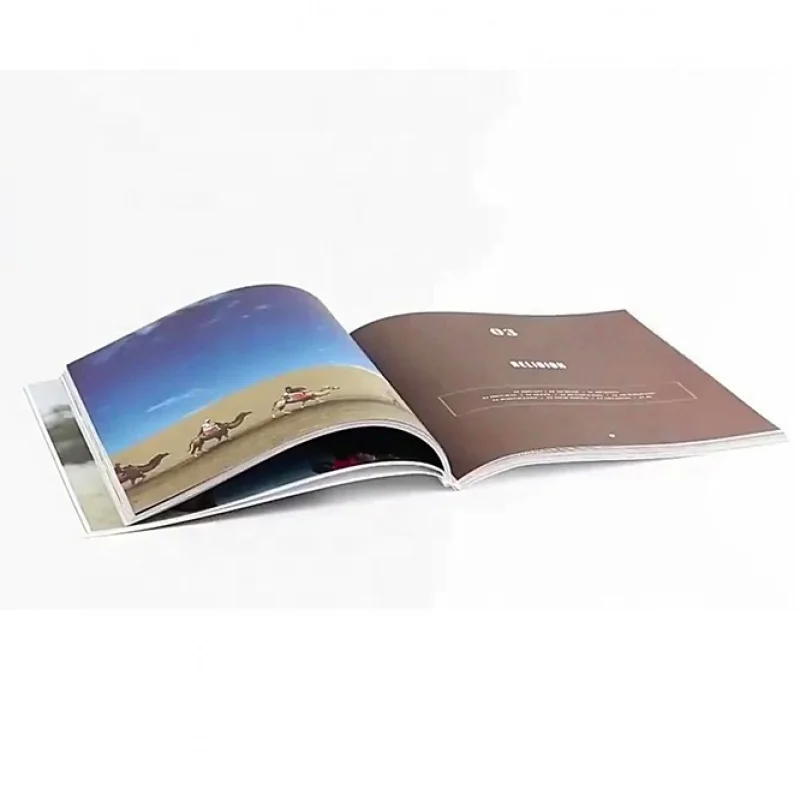 

Customized product.Customized Advertising Book/Booklet/Magazine/Brochures Flyer Printing Leaflet Printing&Booklet