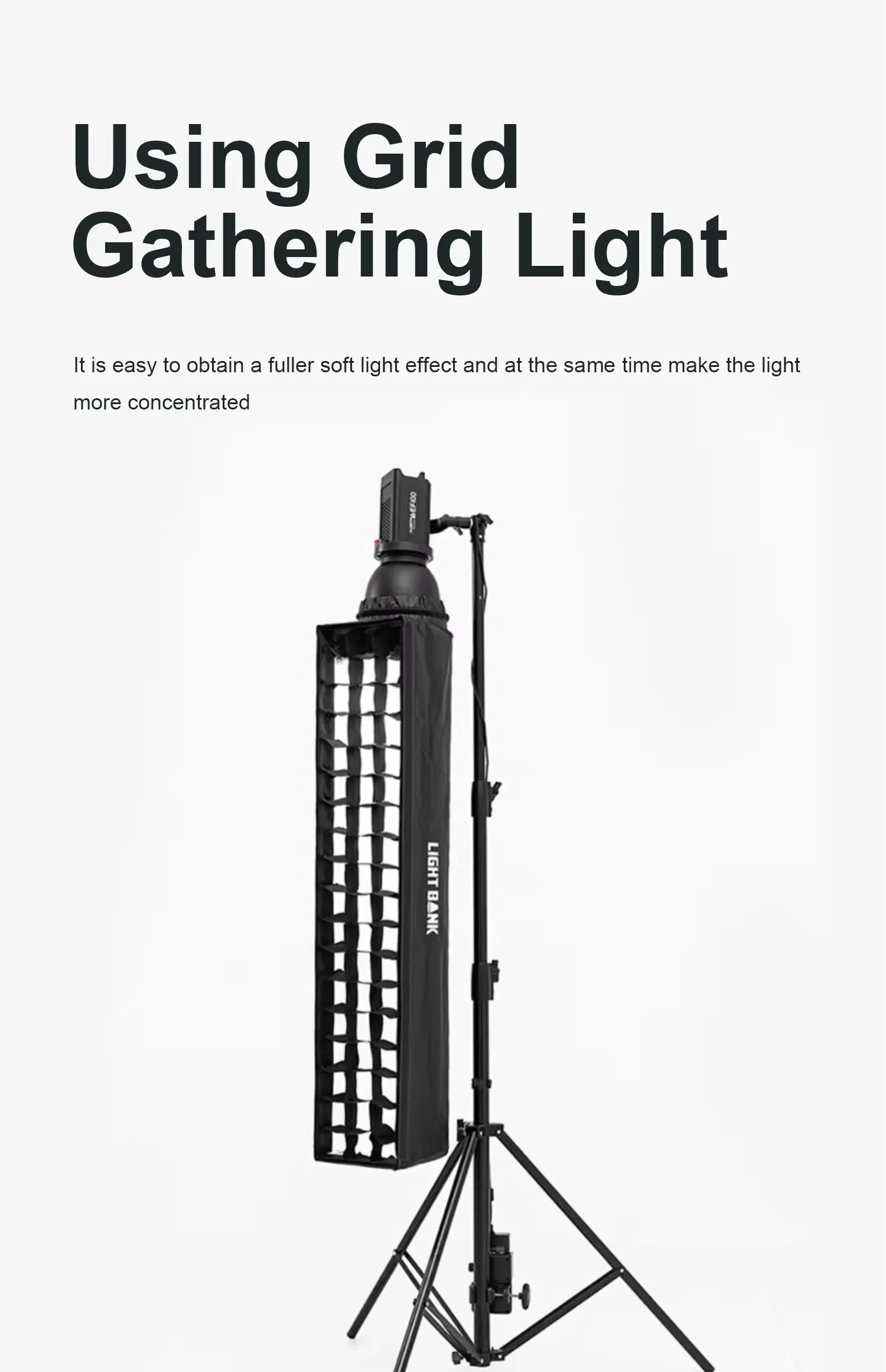 Flynoodle Honeycomb Grid Softbox dengan Diffuser untuk lampu fotografi peralatan studio Tabung Udara