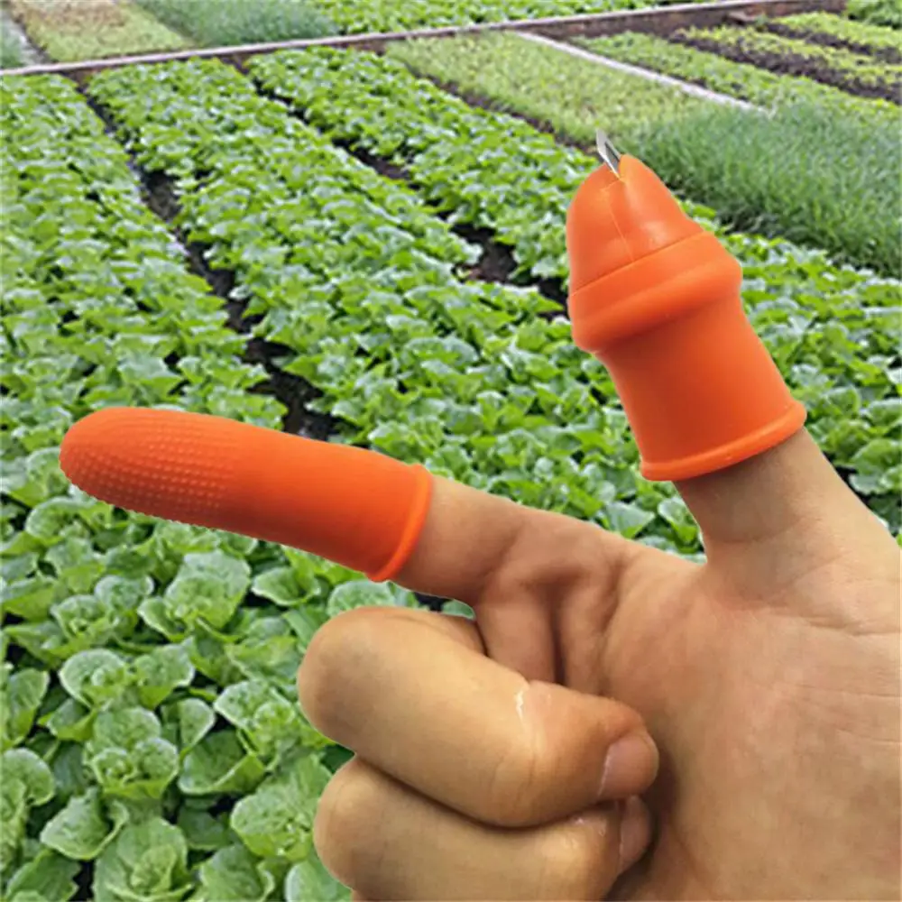 Finger Protector Pinching Plant Gears Cutting Vegetable Cooking Accessories Pruning Shears Wholesale Garden Tools Silicone