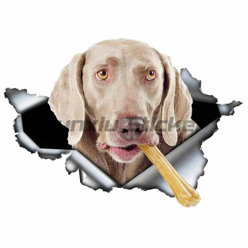 3D Dog Personality PVC Decal Weimaraner Vinyl Waterproof Car Sticker on Motorcycle Laptop Decorative Accessories