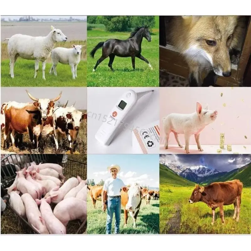 مقياس حرارة الحرارة الرقمي للماشية الرقمية الرقمية البيطرية مقياس الحرارة لحيوانات حرارية للكلاب للقطط الخنزير الخنازير