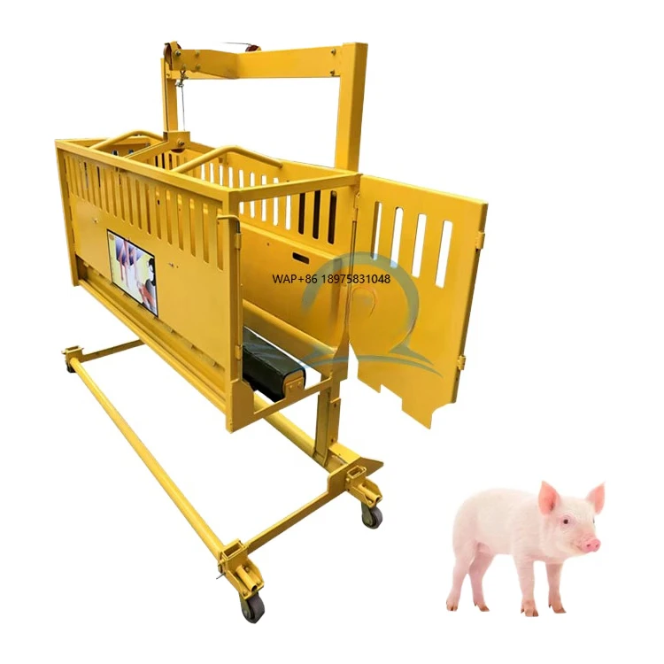 Automatic Pig Hoof Trimming Machine for Efficient Farm Processing High Precision Durable Livestock Equipment