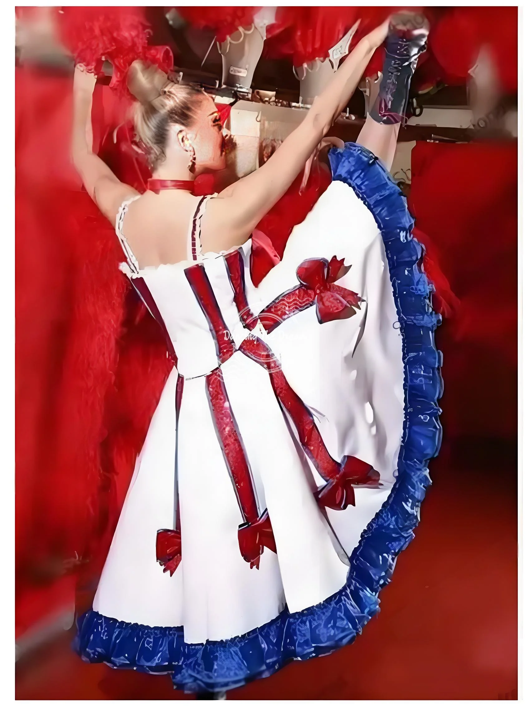 

Can-Can Dance Wear Gisele Girls Ballet Tutu Skirt Tulle Dance Dress