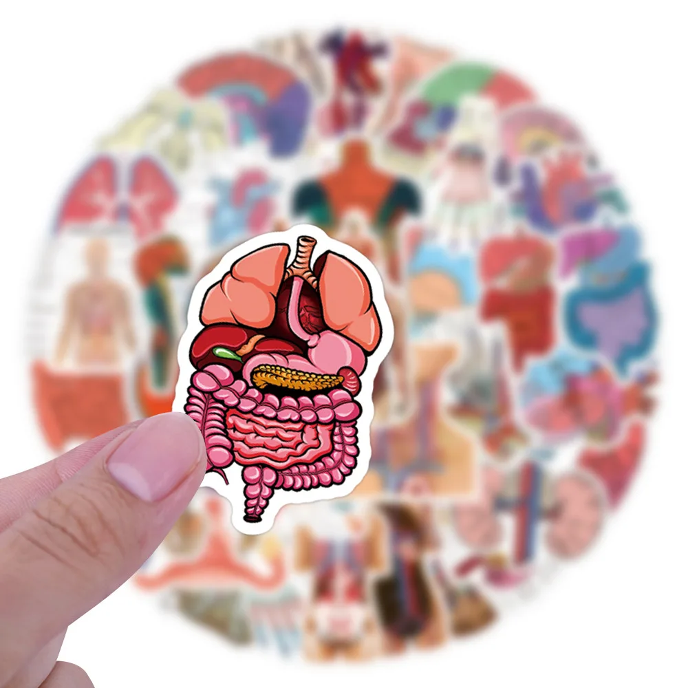 60 uds investigación médica pegatinas de anatomía humana impermeable esqueleto de dibujos animados decoración de Graffiti DIY guitarra portátil bicicleta teléfono Juguetes