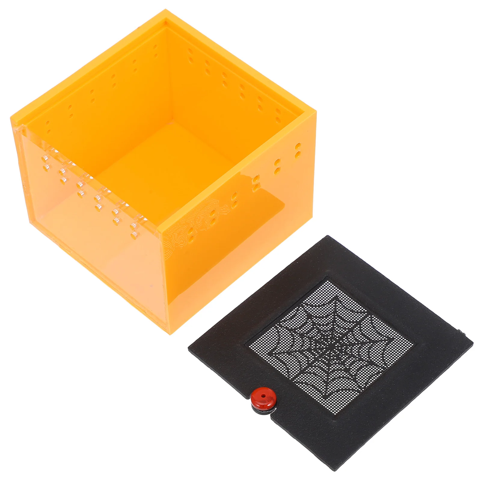 

Acrylic Insect Box Spider Terrarium Habitat Enclosure Accessories Small Reptile Terrarium Jumping Spider Housing Pet Feeding