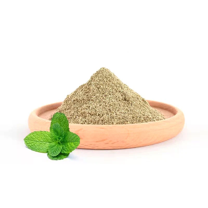 10pcs Cat Mint Powder Catnip Bag Cat Grass Chopped Leaf Catnip Powder Small Bag Catnip Digestive Hair Ball