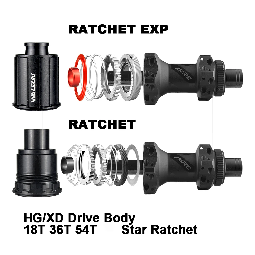 

Walgun HG XD Freehub Hub 11 12 Speed DT Ratchet Exp 18t 36t 54t MTB Mountain Bike Road Free Hubs Driver 180 190 240 350 Cubes