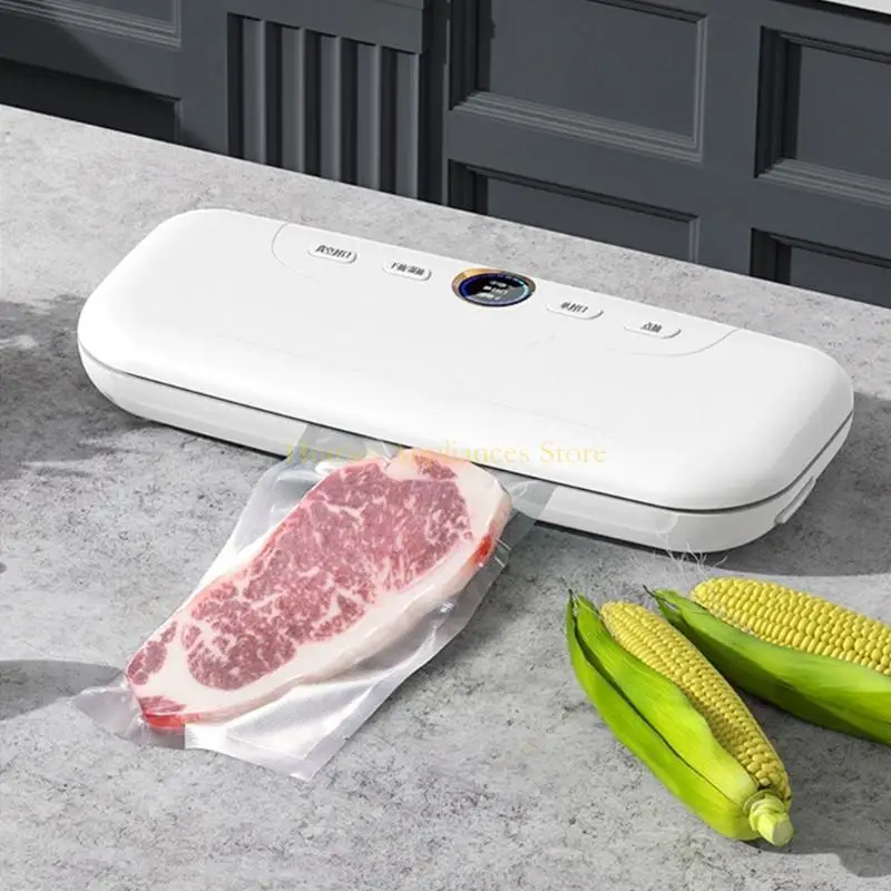 D0AB 진공 실러 기계 건조하고 촉촉한 식품 진공 실러 기계 공기 밀봉 시스템