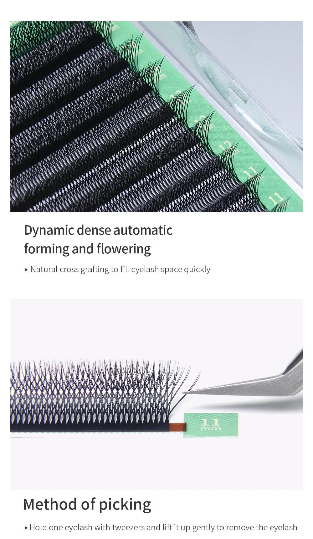 GLAMLASH 3D4D5D6D7D8D W Wimpern C/D/L/LU/M Vorgefertigte Volumenfächer Braune Wimpernverlängerungen Natürlich weich – Detail 31