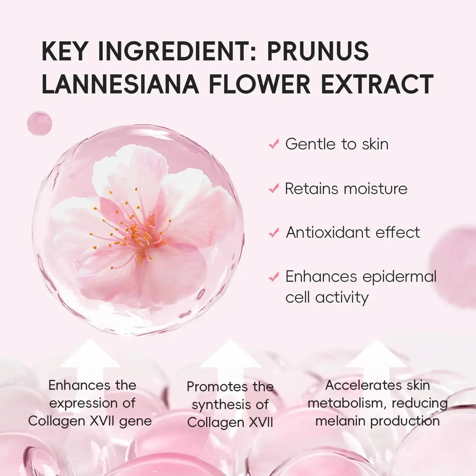 Spray de réglage de maquillage longue durée Sakura, brume pour le visage, contrôle de l'huile, imperméable, hydratant, fixateur rapide, finition rosée Non collante