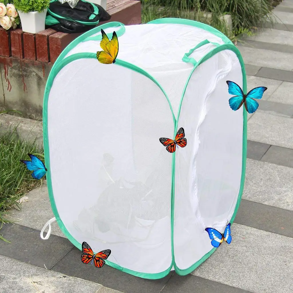 

and Butterfly Habitat Cage Terrarium - 40 x 60cm, Zippered Design