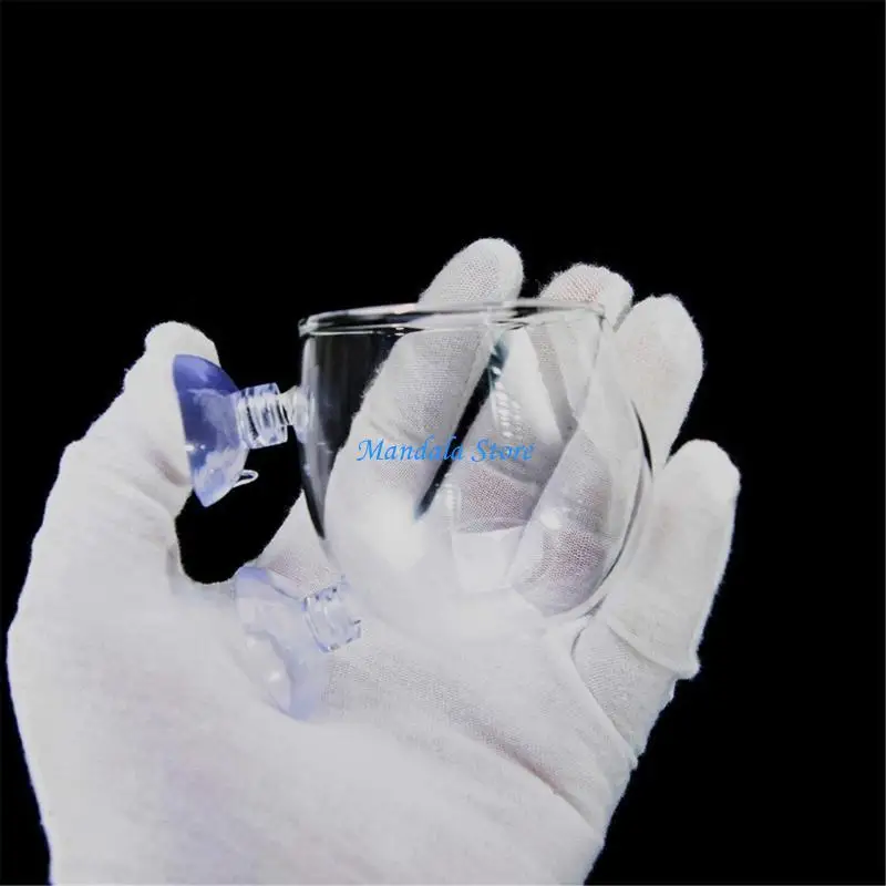 

U2JC Fishtanks Glass Plant Cup for Aquariums Decoration and Hydroponic Plant Breeding