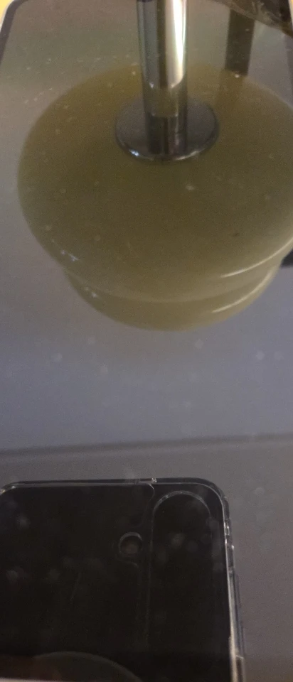 실물 포토 리뷰