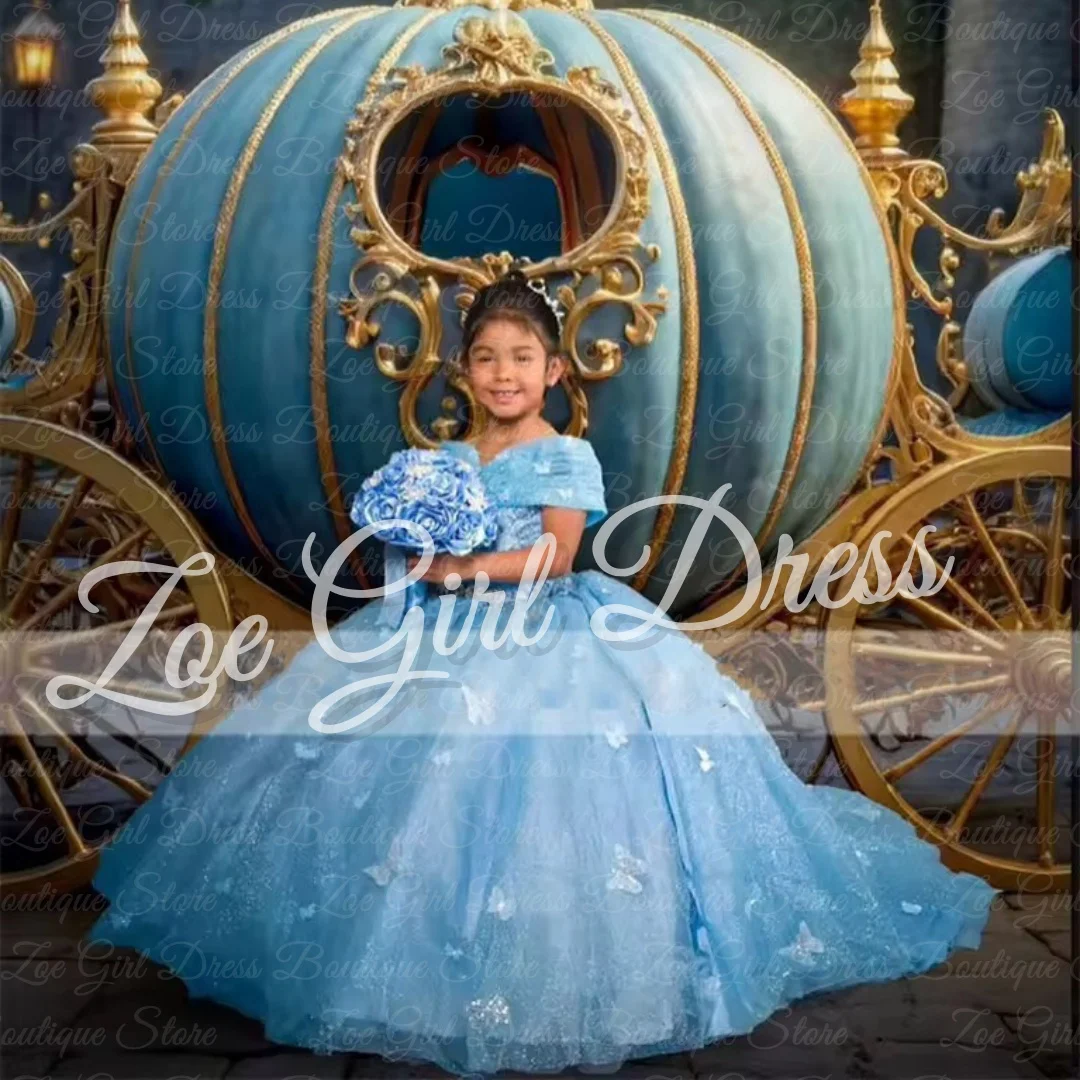 

Blue Cinderella Princess Flower Girl Dresses for Wedding Butterflies Applique Ball Gowns Baby Girl Birthday Ball Gown Customized