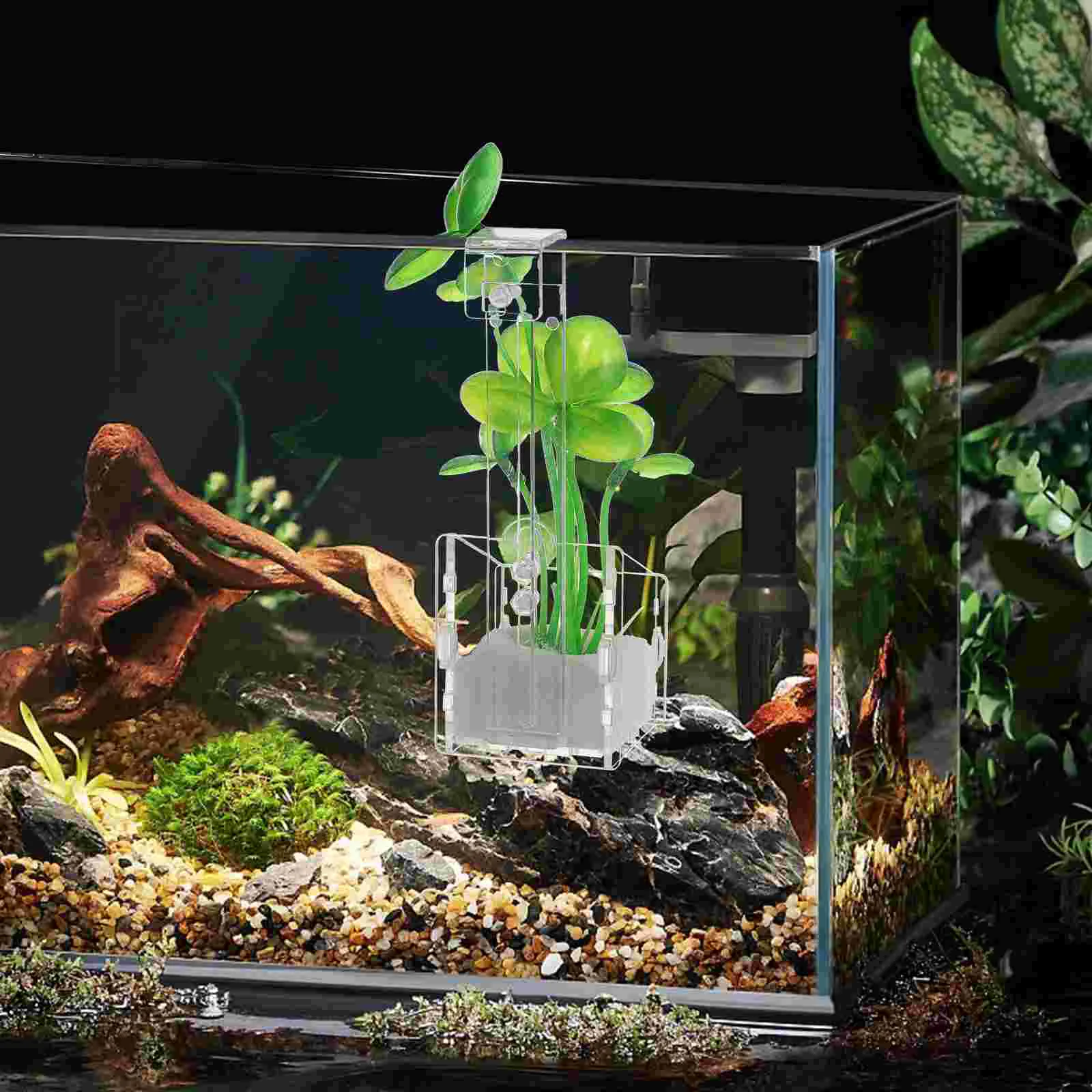 

4 Pcs Aquatic Planting Cup Aquarium Planter Planters For Live Plants Tool Acrylic Fish Tank Water