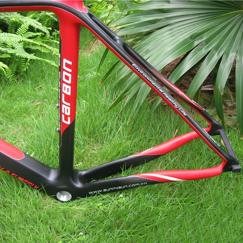 Naturefly 700c Carbon Bike Frame Track Frame Fixie Single Speed Frameset Fixed Gear Frame