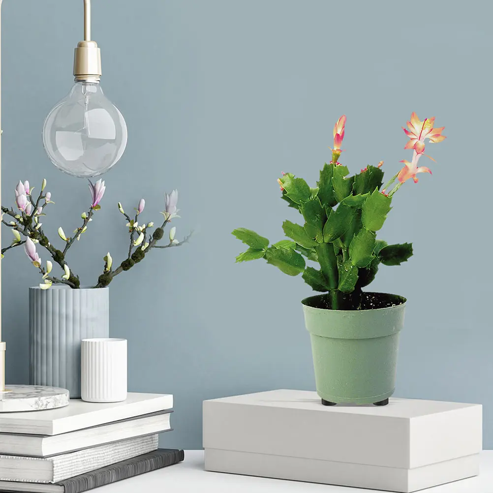 

16 Pcs Rubber Flower Pot Riser Plant Pot Cushion Black Round Foot Pads Stabilizing Garden Item Base Deck Floor Tile Water Flow