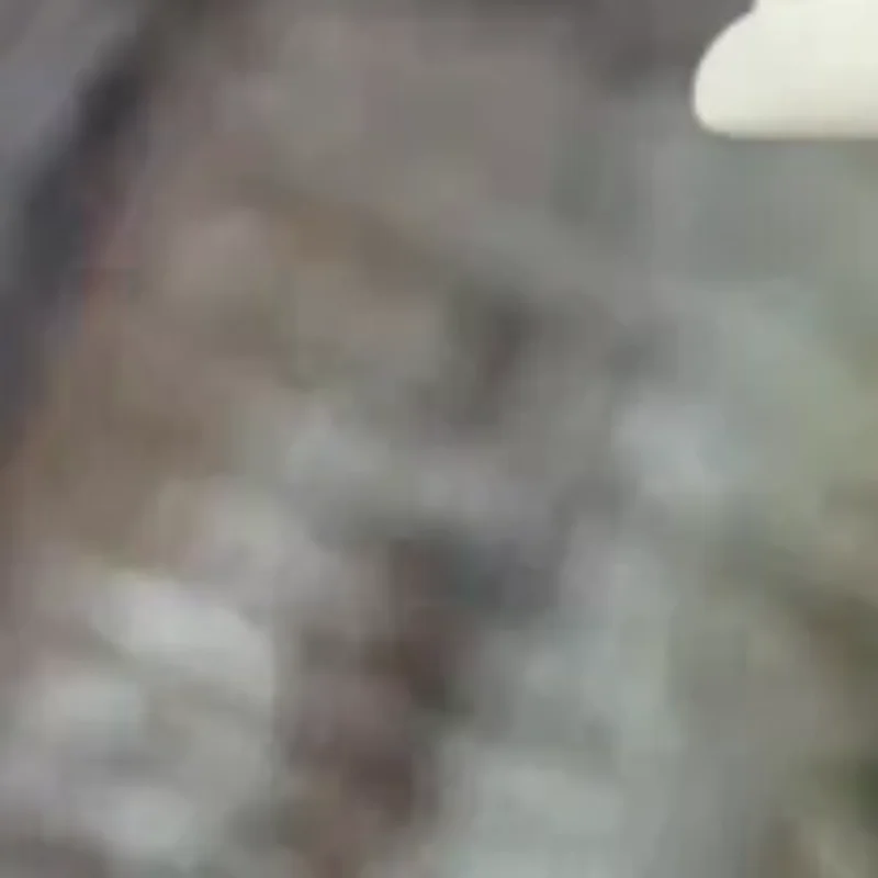 قفازات دافئة الطالبات الخريف والشتاء لطيف زائد المخملية سميكة أفخم غطاء الوجه مكتب شاشة تعمل باللمس قفازات الوجه الاصبع