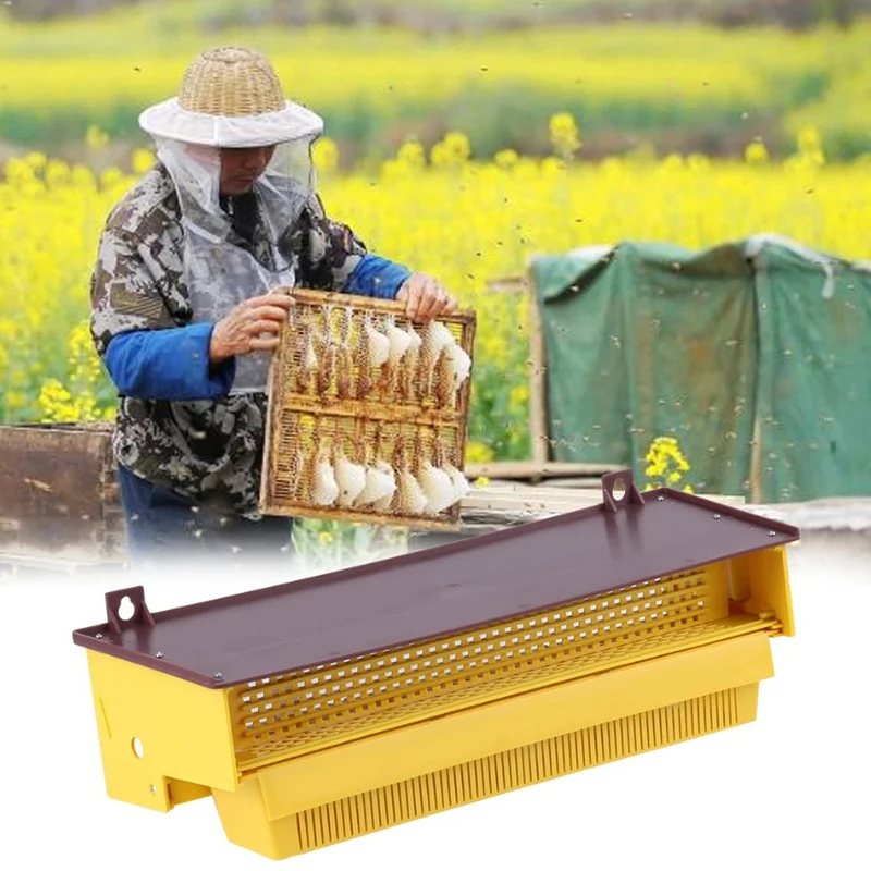 Pollen Collector Collection Box Suitable For Bee Breeding Box Removable Pollen Trap With Ventilated Pollen Tray Beekeeping Tool