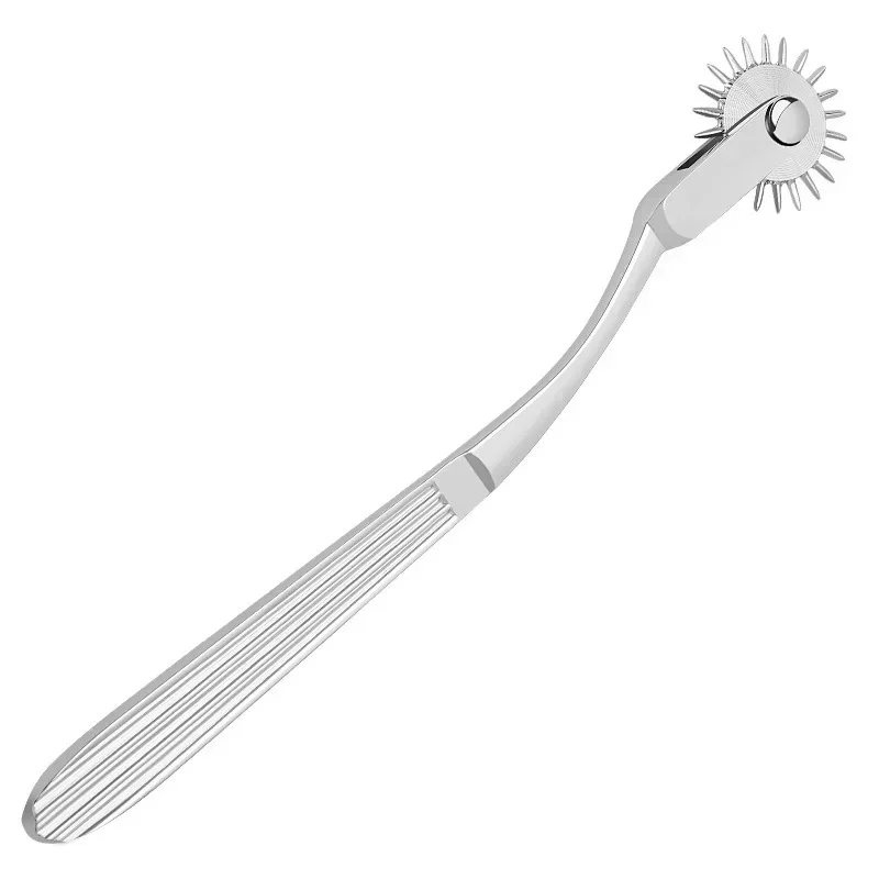 Stainless Steel Pinwheel Needles Wheel Roller Submissve Fetish Sex Slave Kit Sex Toy Nipple Clitoris BDSM Lesbian Women