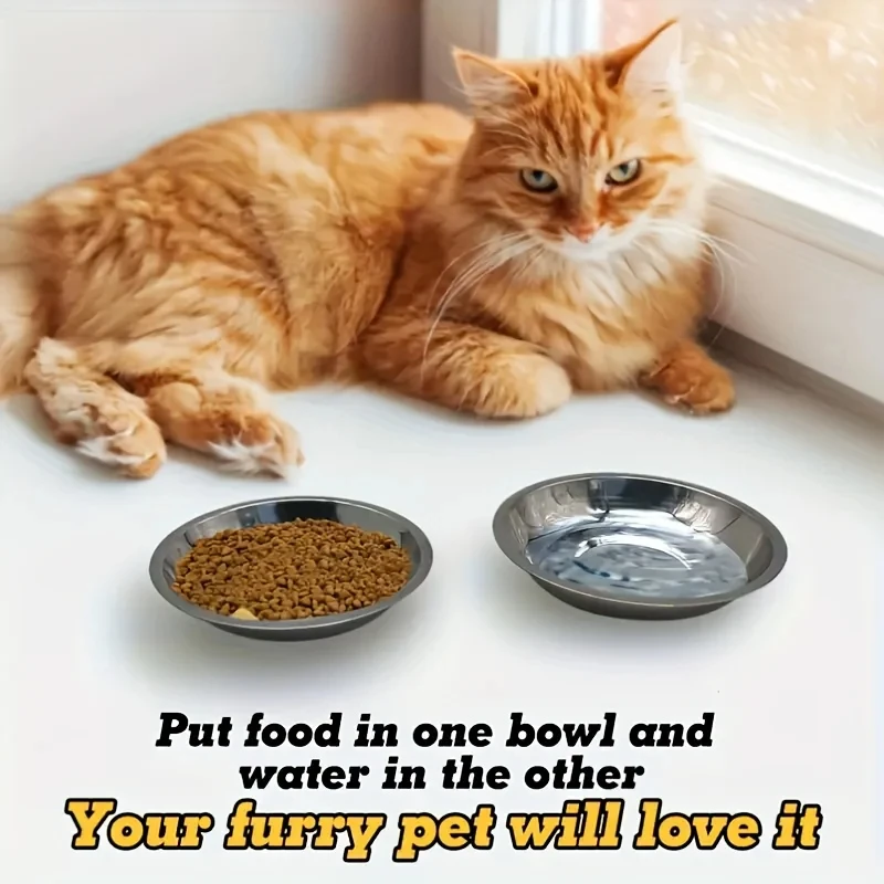 Slip-Resistant Stainless Steel Cat Bowl Set – Low-Profile Wide Design for Kittens & Small Pets Anti-Tip Base Feeding Station