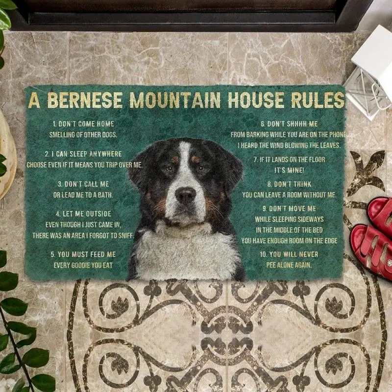 Please Remember Corgi House Rules Mat Non Slip Kitchen Bath Entry Floor Rug Entrance Washable Carpet for Home Bedroom Decoration