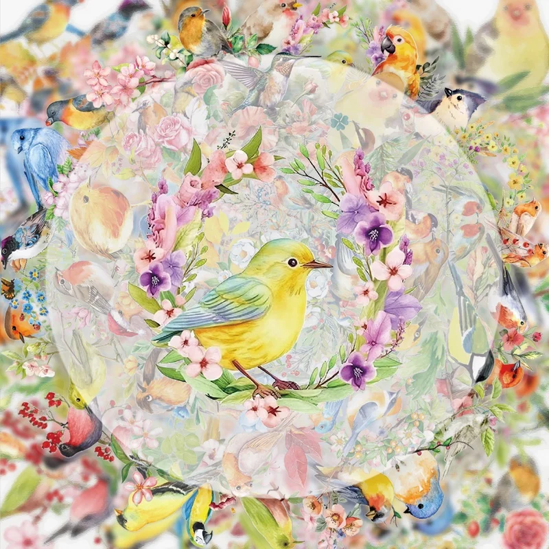 50 Watercolor Bird Doodle Stickers, Vibrant Sticker Decals, Multiple Styles Without Duplication, Suitable for Water Bottles, Laptops, Suitcases, Skateboards, Guitars, Party Decorations