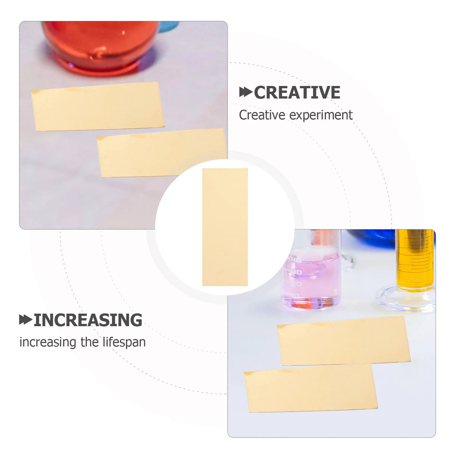 

10 Pcs Experimental Materials Science Experiments Kids Kit Plates Fruit Brass Lab for Child