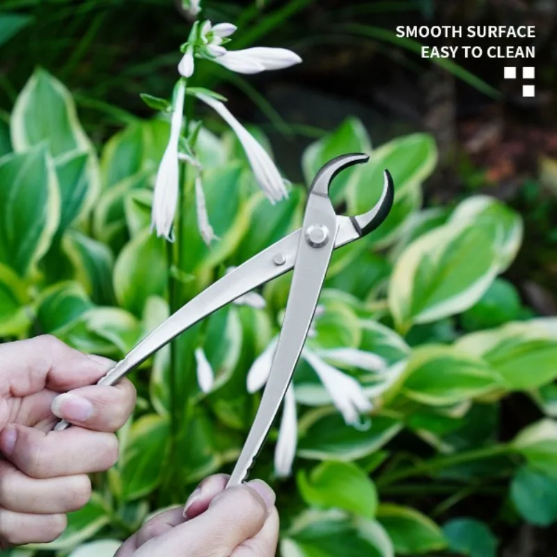 Thickened Garden Stainless Steel Ball Cutting Shears Bonsai Shears Beveled Mouth Bonsai Special Tools Modeling Pliers