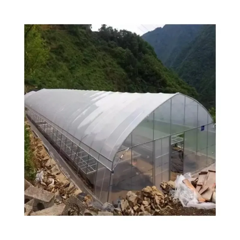 เรือนกระจกใหม่เอี่ยมคุณภาพสูง