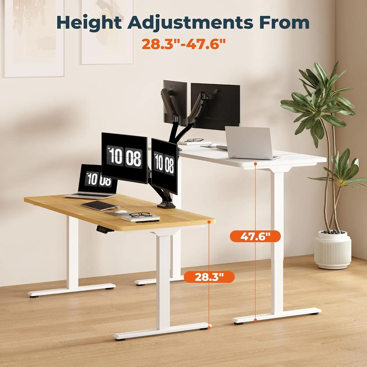 Dual Motor Adjustable Standing Desk Home Office 71x31", Customized