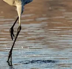 7 "شاشة أندرويد سيارة الوسائط المتعددة 2 الدين راديو لأوبل أوميغا B 1999-2003 اللاسلكية Carplay أندرويد السيارات رئيس وحدة ستيريو لتحديد المواقع واي فاي