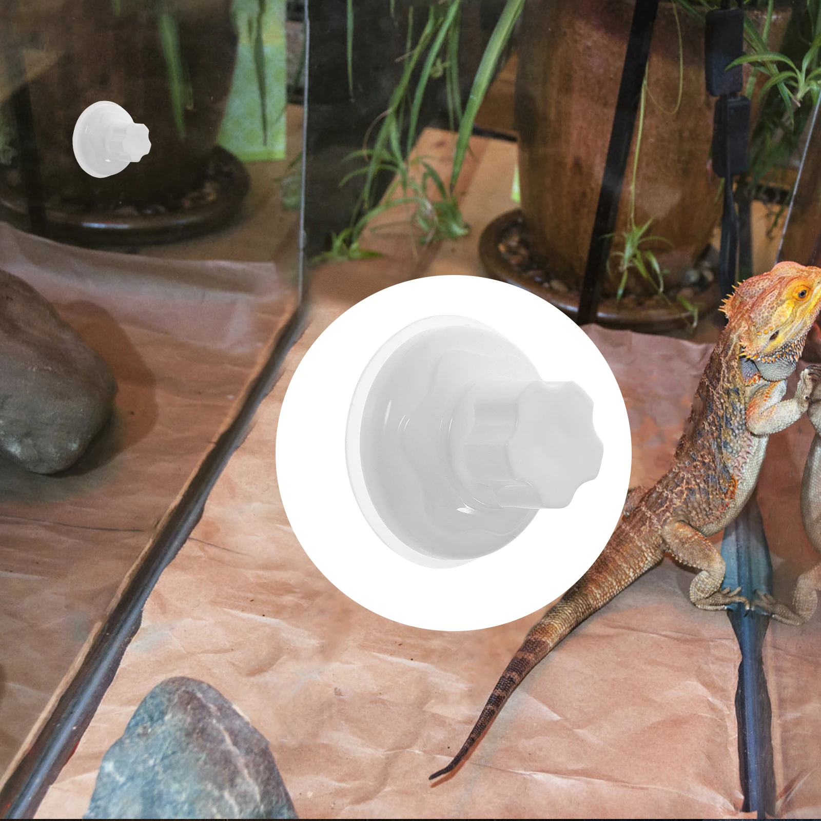 

6Pcs Suction Cups for Reptile Hammock Small Pet Nest Birds Window Perch Strong ABS Material Multiuse Perch Suction Cup