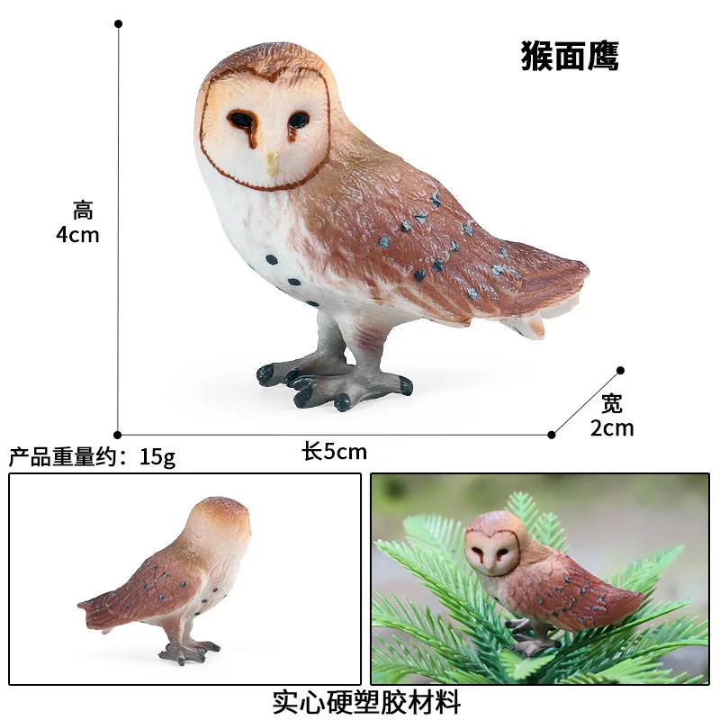 children's cognitive simulation solid animal model monkey face eagle owl bird toy scene ornaments