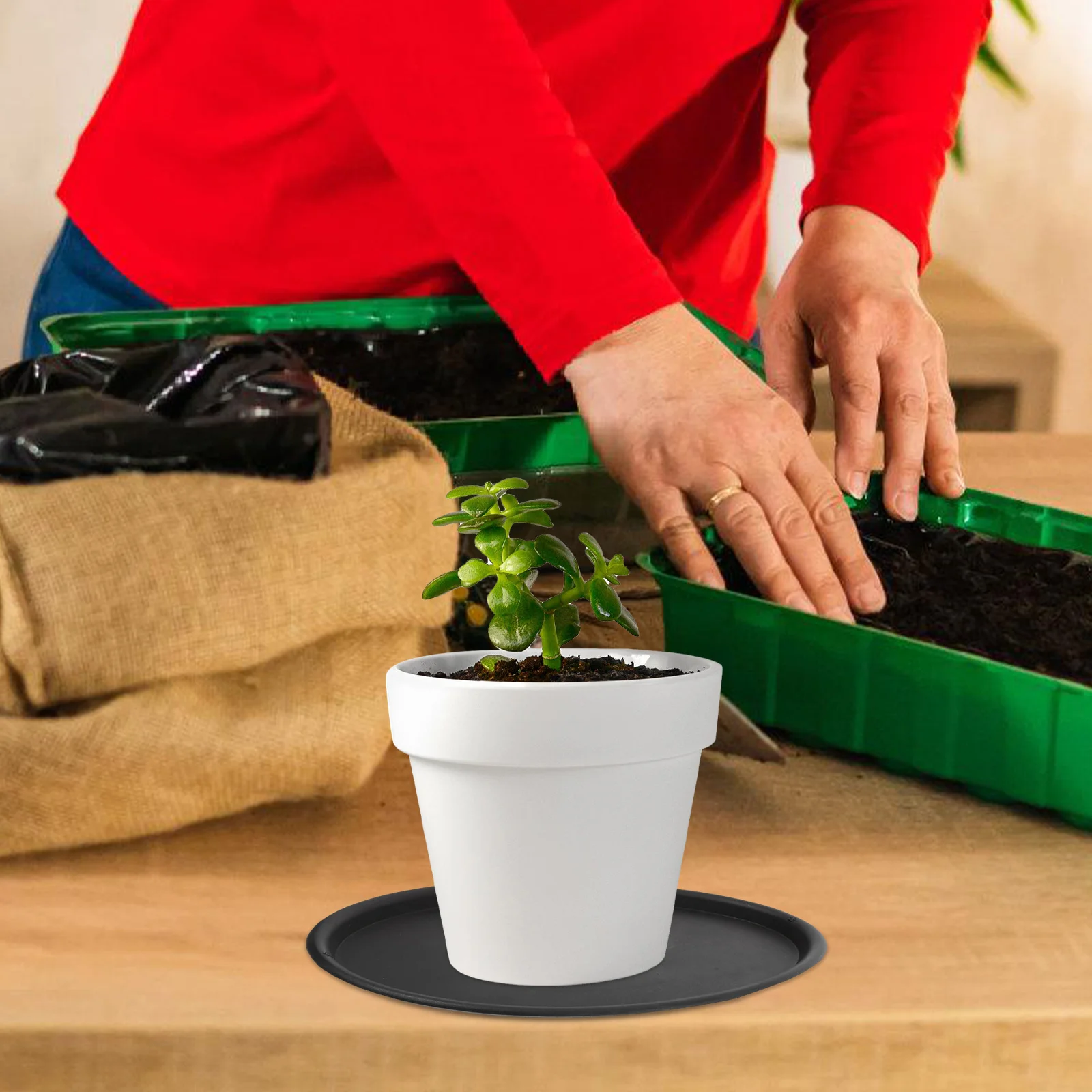 

10Pcs Oval Plastic Plant Tray Waterproof Heavy Duty Drip Saucer Indoor Garden Pot Water Catcher Decorative Saucer