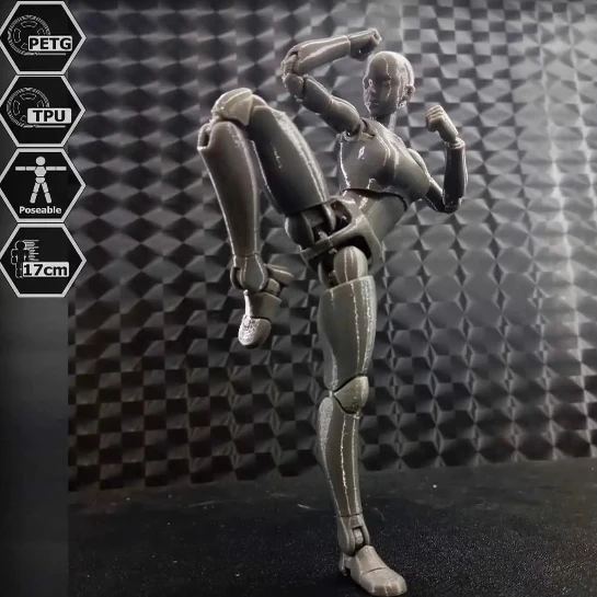 

[В наличии] Кукла женская высота 17 см 1/10, отправленная как детали 3D, которая необходимо собранно самостоятельно.