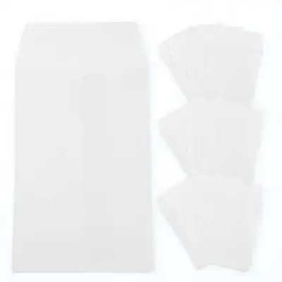 

100Pcs Blank Mini Envelopes Sturdy Paper Pouches for Organizing Cash Gift Cards Seeds Daily Essentials Gift Envelopes for Cash