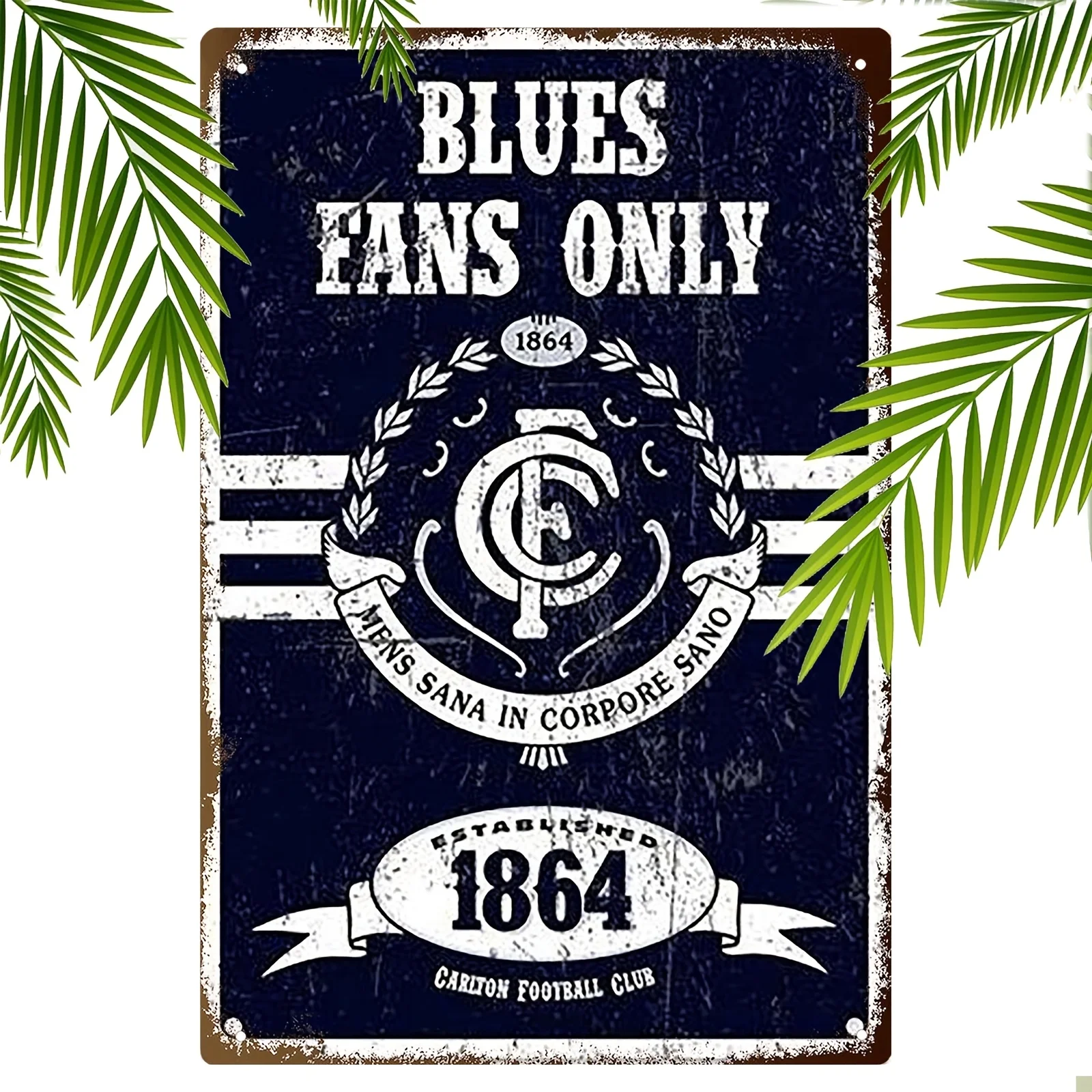 Carlton Blues Retro Tin Sign - Perfect for Man Cave & Home Decor, Versatile Hanging Metal Wall Art, es