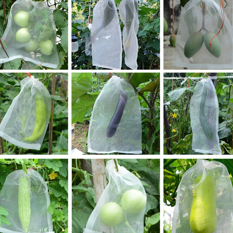 Insect-proof Net Insect-proof Bag Melon and Fruit Anti-fly Anti-bird Bag Filter Soaked Seed Grape Fruit Bag Nylon Mesh Bag