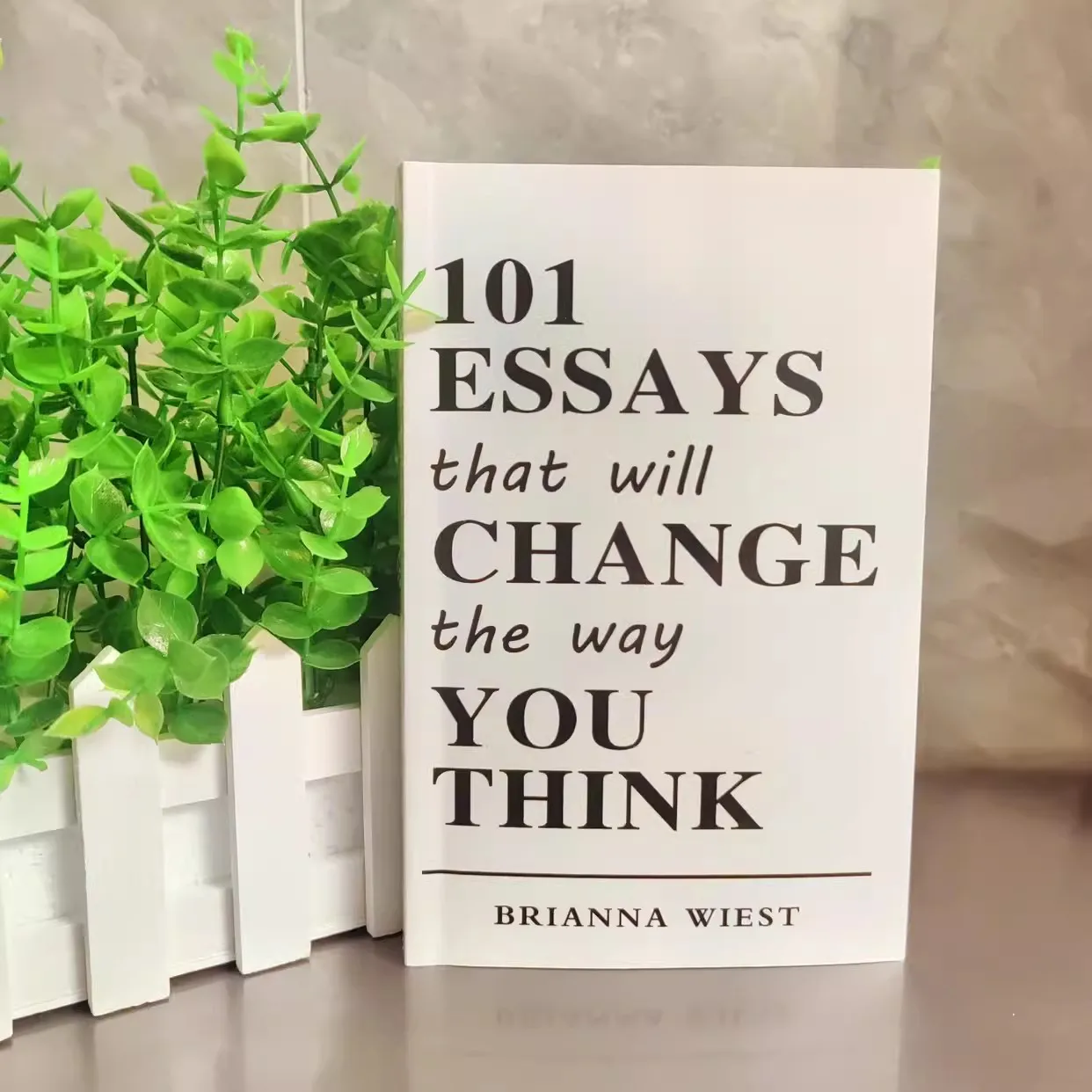 101 Essays That Will Change The Way You Think English Books